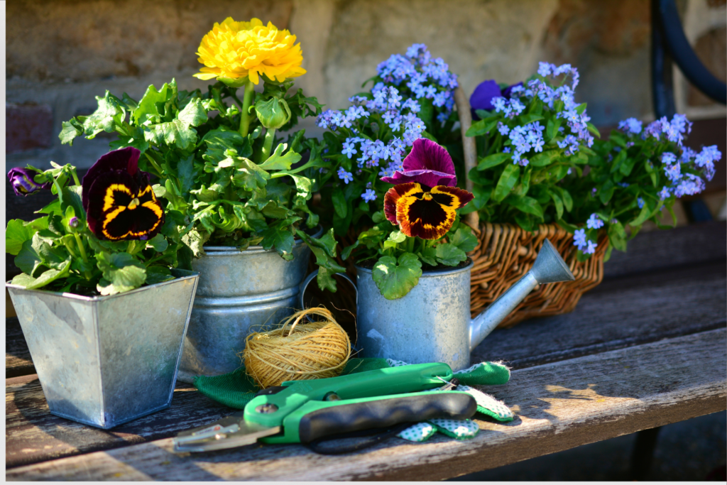 a rustic table covered with plants and supplies